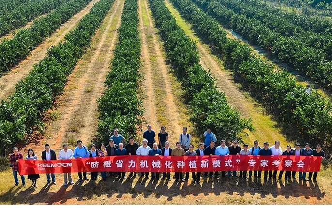 綠萌水果分選設(shè)備可進(jìn)行重量大小分級、顏色、瑕疵外觀視覺分選，無損檢測糖度，甜度，酸度、空心、浮皮、褐變、果肉損傷等內(nèi)部指標(biāo)檢測，提供智能全自動臍橙分選機(jī),臍橙分選設(shè)備,臍橙選果機(jī),臍橙選果設(shè)備,臍橙分級機(jī),臍橙稱重分揀機(jī),臍橙大小直徑選果，臍橙采后分選方案和價格