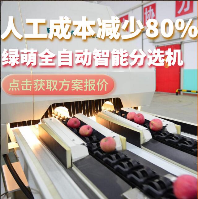 綠萌是水果智能分選設(shè)備國家高新技術(shù)企業(yè),對水果采后處理提供全套解決方案。綠萌水果分選機可進行大小重量分級、外觀顏色分選、內(nèi)部品質(zhì)糖度檢測。提供全自動水果分選設(shè)備,水果選果機,智能水果分選機,全自動水果分選機,水果分級機,小型水果分選機，水果分級機,水果稱重分選機,水果重量分選機,水果大小分選機,水果顏色分選機,水果糖度分選機,配套水果清洗機、水果洗果保鮮機、水果包裝機、水果消毒滅菌殺菌機,水果打蠟機。更多水果分選方案報價,小型水果選果設(shè)備價格、水果分級機怎么樣、口碑好質(zhì)量好的水果選果機、了解高性能水果分選機多少錢,咨詢客服免費獲取