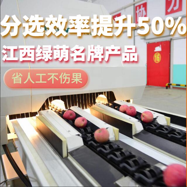 綠萌是水果智能分選設(shè)備國家高新技術(shù)企業(yè),對水果采后處理提供全套解決方案。綠萌水果分選機可進行大小重量分級、外觀顏色分選、內(nèi)部品質(zhì)糖度檢測。提供全自動水果分選設(shè)備,水果選果機,智能水果分選機,全自動水果分選機,水果分級機,小型水果分選機，水果分級機,水果稱重分選機,水果重量分選機,水果大小分選機,水果顏色分選機,水果糖度分選機,配套水果清洗機、水果洗果保鮮機、水果包裝機、水果消毒滅菌殺菌機,水果打蠟機。更多水果分選方案報價,小型水果選果設(shè)備價格、水果分級機怎么樣、口碑好質(zhì)量好的水果選果機、了解高性能水果分選機多少錢,咨詢客服免費獲取