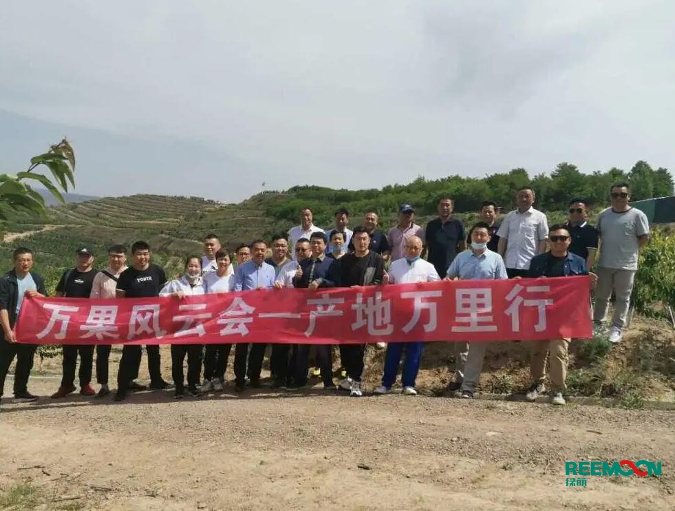 綠萌自動化櫻桃分選設(shè)備亮相甘肅天水引起各界廣泛關(guān)注 5月29日，綠萌櫻桃自動化分揀生產(chǎn)線在甘