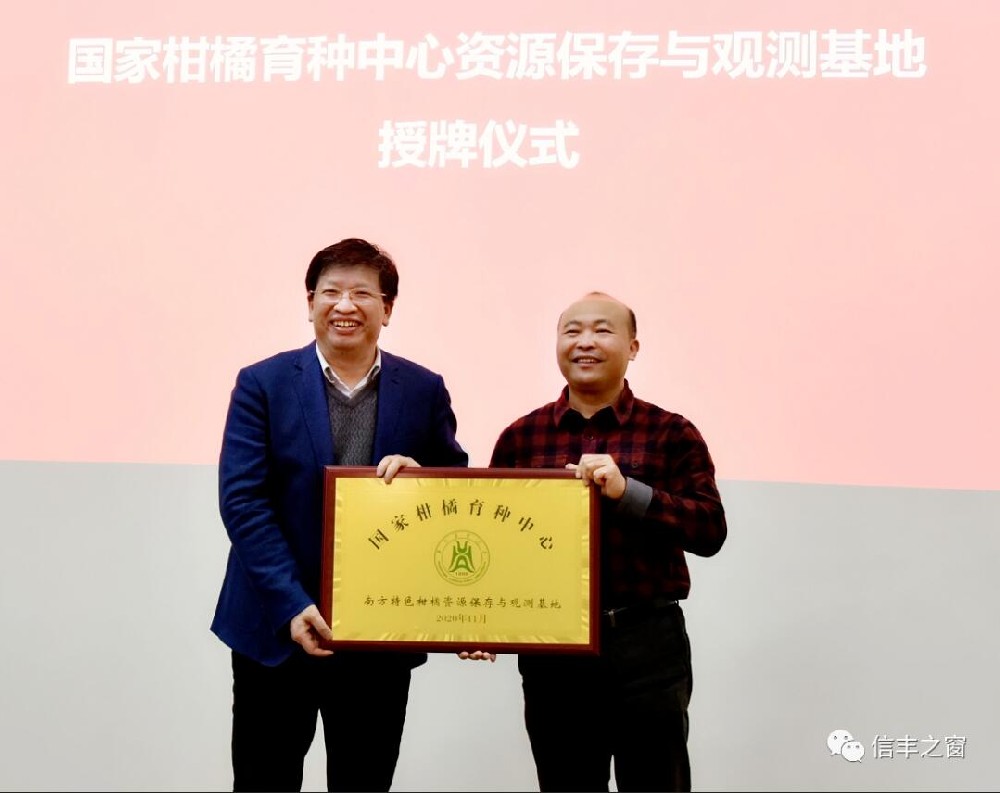 兩塊牌匾！我縣臍橙產(chǎn)業(yè)高質(zhì)量發(fā)展又上新臺階 11月30日，中國工程院副院長、民盟中央副主席、中國科學技術(shù)協(xié)會副主席、國家現(xiàn)代農(nóng)業(yè)柑橘產(chǎn)業(yè)技術(shù)體系首席科學家鄧秀新帶領調(diào)研組來到我縣調(diào)研，并出席華中農(nóng)業(yè)大學與江西綠萌科技控股有限公司簽約儀式、“綠萌果蔬生產(chǎn)智慧裝備研究院”和“國家柑橘育種中心南方特色柑橘資源保