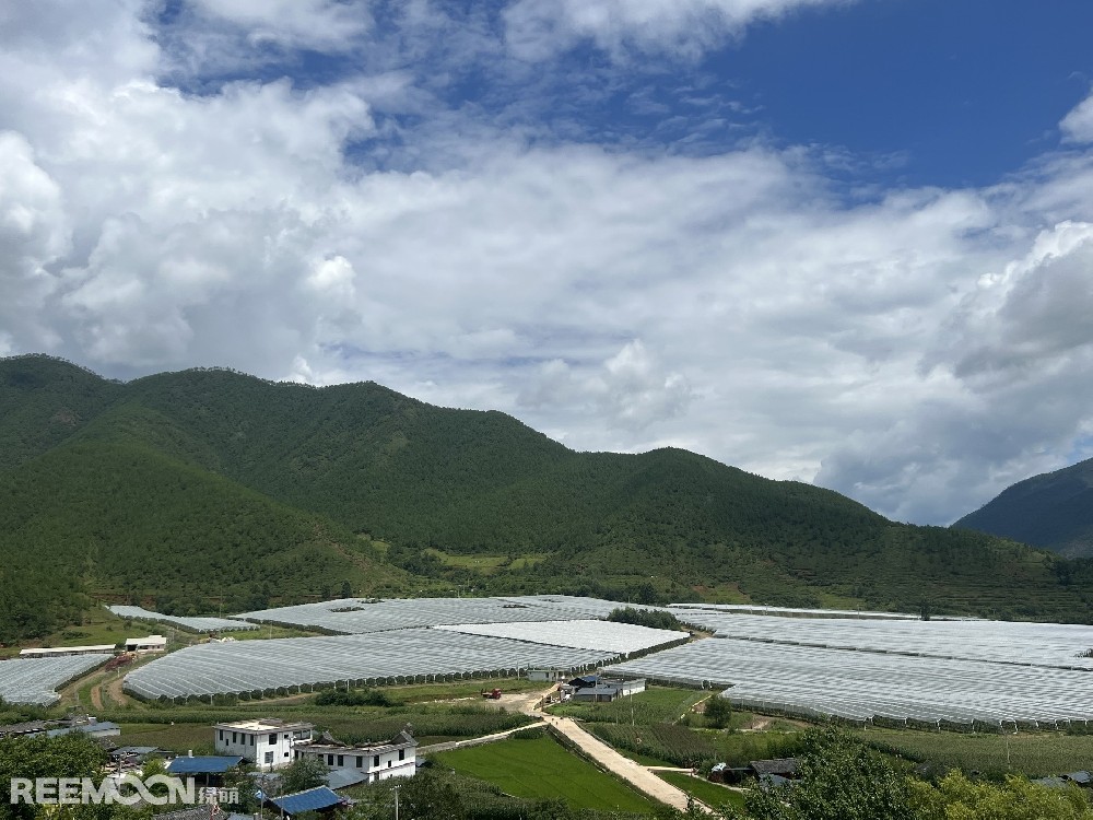 麗江市蘋果種植主產(chǎn)區(qū)海拔2400-2700米，良好的立體環(huán)境條件造就了麗江蘋果糖度高、果肉緊密、硬度高、無污染的品質(zhì)特點(diǎn)。2019年，在全國種植產(chǎn)區(qū)的甄選中，鑫榮懋選定了云南省麗江市蘋果優(yōu)勢產(chǎn)區(qū)作為未來蘋果種植項(xiàng)目的實(shí)施地，目前已種植新西蘭引進(jìn)的優(yōu)良蘋果品種。鑫榮懋以新品種、新技術(shù)及高品質(zhì)為發(fā)展蘋果種植的新契機(jī)，