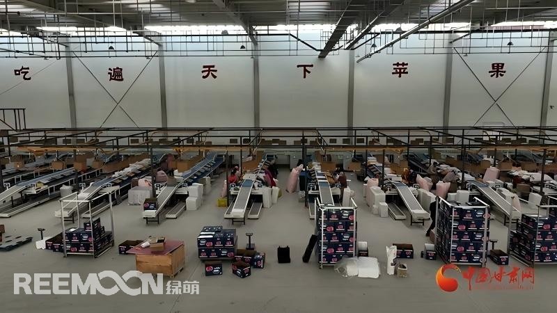 “這個(gè)綠萌‘呵福式’智能四通道一體自動(dòng)化分揀包裝生產(chǎn)線剛安裝上就投入使用，高效便捷。幫我們完成對(duì)尼泊爾出口的300噸蘋果分揀包裝?！膘o寧蘋果產(chǎn)地冷鏈物流園運(yùn)營(yíng)團(tuán)隊(duì)負(fù)責(zé)人孫杰錕在剛剛建成投入使用的分選車間邊忙向記者解說?！澳壳熬头謷囬g創(chuàng)造就業(yè)崗位三百多個(gè)，其中包裝工約300人、檢果工50人、裝卸工20人，為周