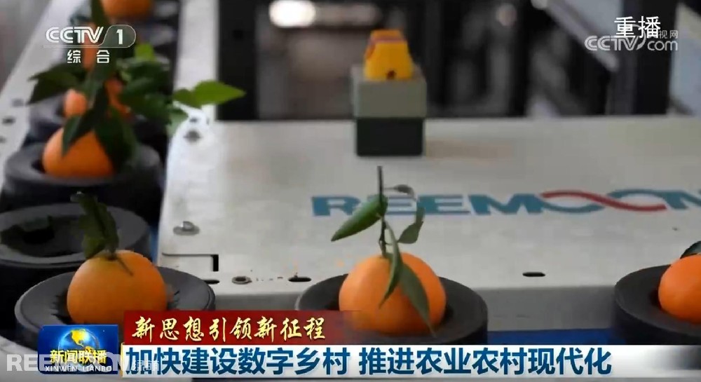 又又又上央視了2025開年見喜綠萌在半月之內(nèi)兩次登上《新聞聯(lián)播》2025年1月1日央視《新聞聯(lián)播》聚焦《甘肅省天水市麥積區(qū)南山花牛蘋果》其中一組畫面中綠萌蘋果雙通道分選線上鏡這條分揀線對(duì)蘋果的大小、色澤、瑕疵、糖度、霉心等指標(biāo)進(jìn)行精準(zhǔn)檢測(cè)分級(jí)助推花牛蘋果做大做強(qiáng)助力果農(nóng)增收致富10