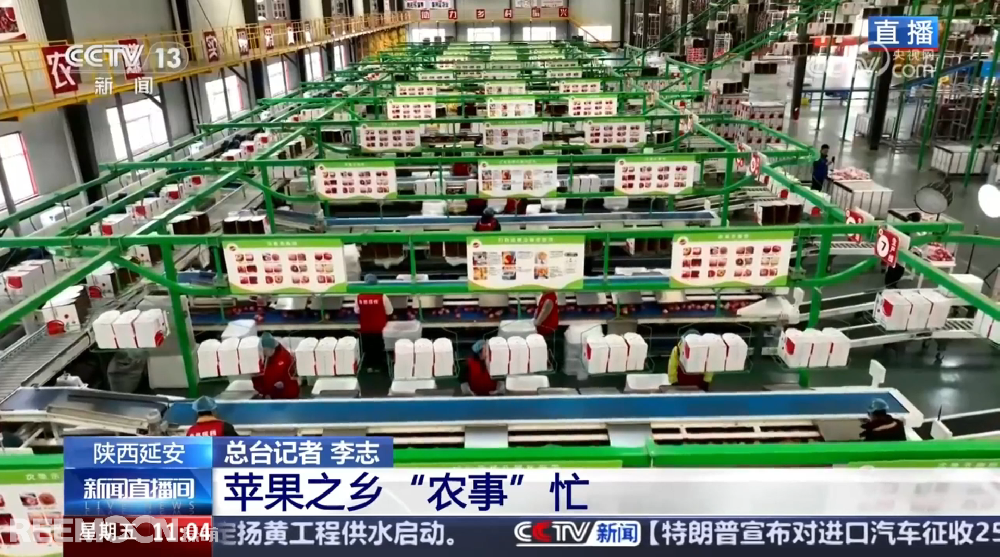 春天是希望的季節(jié)陜西延安是我國(guó)蘋果的優(yōu)生區(qū)和主產(chǎn)區(qū)蘋果之鄉(xiāng)正呈現(xiàn)出一片繁忙的景象3月28日，CCTV13新聞?lì)l道聚焦陜西延安蘋果產(chǎn)業(yè)發(fā)展展現(xiàn)中國(guó)農(nóng)業(yè)現(xiàn)代化與鄉(xiāng)村振興的生動(dòng)實(shí)踐PART.01智能分選線：給蘋果做“體檢”，助力果農(nóng)增收致富延安甘泉縣分揀車間內(nèi)綠萌智能分選設(shè)備高效運(yùn)轉(zhuǎn)通過人工智能和圖像處理技術(shù)對(duì)傳送帶上的