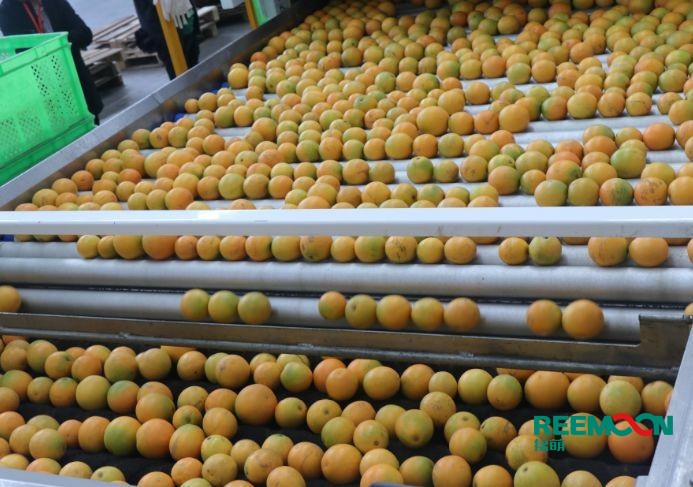 “The sorting line in Chu Cheng is actually 
