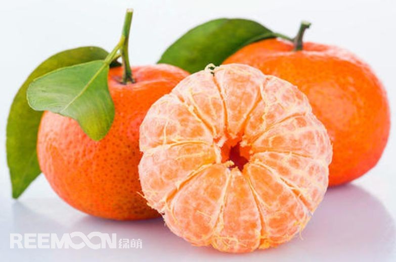 近幾年，砂糖橘逐漸跌落“神壇”，價(jià)格急速下滑。產(chǎn)能過剩、集中上市、競(jìng)爭(zhēng)增大......不少問題圍繞著砂糖橘產(chǎn)業(yè)的發(fā)展。難道真的就要走向末路了嗎？砂糖橘口感清甜似砂糖，入口即化，富含維生素、葡萄糖、胡蘿卜素等多種營(yíng)養(yǎng)元素，且市場(chǎng)歡迎度高、老少皆宜，擁有廣闊的市場(chǎng)空間。近年來(lái)砂糖橘價(jià)格一路低走，產(chǎn)業(yè)模式的問題